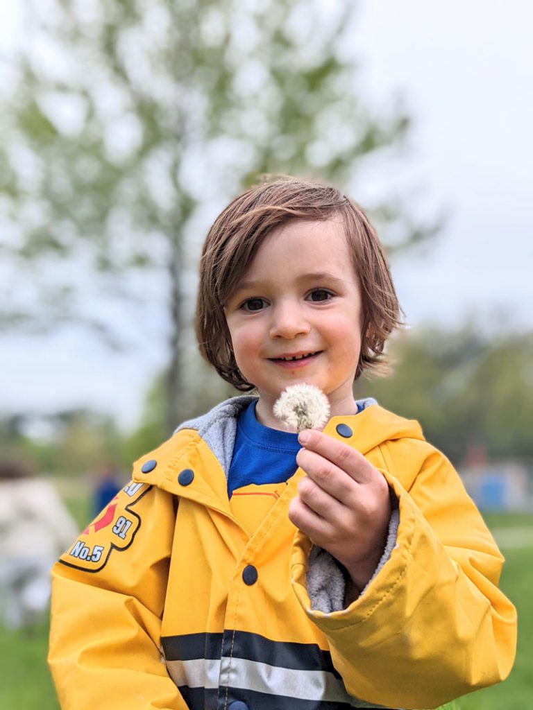 Little boy holding a dandelion at Hampden area preschool and daycare